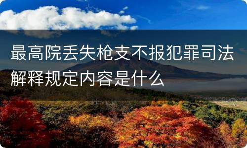 最高院丢失枪支不报犯罪司法解释规定内容是什么