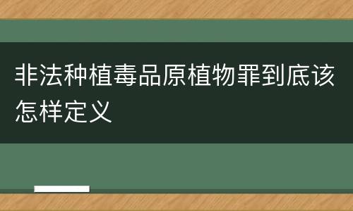 非法种植毒品原植物罪到底该怎样定义