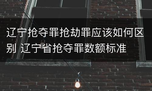 辽宁抢夺罪抢劫罪应该如何区别 辽宁省抢夺罪数额标准