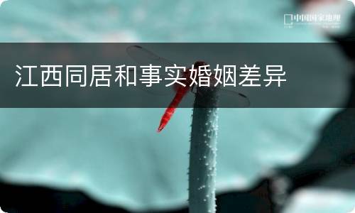 江西同居和事实婚姻差异