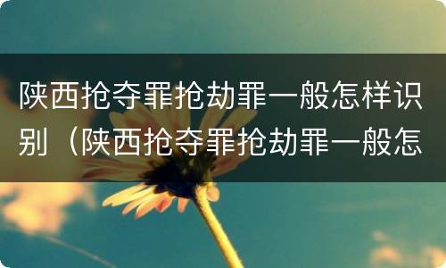 陕西抢夺罪抢劫罪一般怎样识别（陕西抢夺罪抢劫罪一般怎样识别的）