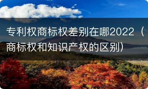 专利权商标权差别在哪2022（商标权和知识产权的区别）