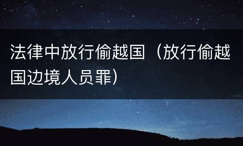 法律中放行偷越国（放行偷越国边境人员罪）