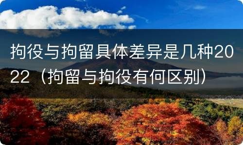 拘役与拘留具体差异是几种2022（拘留与拘役有何区别）