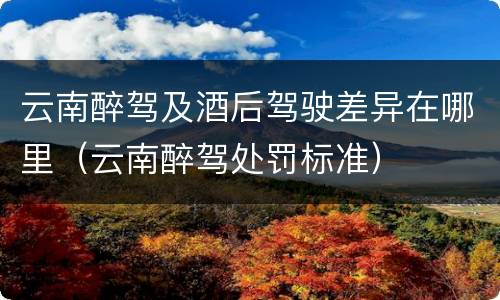 云南醉驾及酒后驾驶差异在哪里（云南醉驾处罚标准）