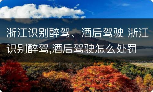 浙江识别醉驾、酒后驾驶 浙江识别醉驾,酒后驾驶怎么处罚