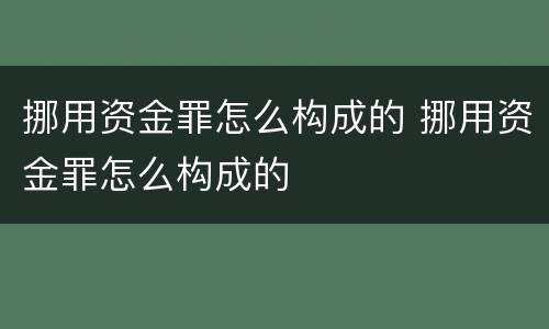 挪用资金罪怎么构成的 挪用资金罪怎么构成的