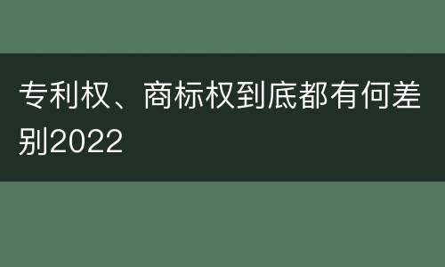 专利权、商标权到底都有何差别2022