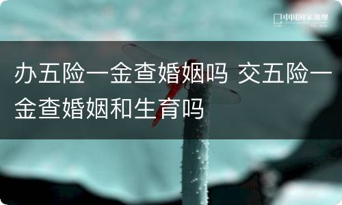 办五险一金查婚姻吗 交五险一金查婚姻和生育吗