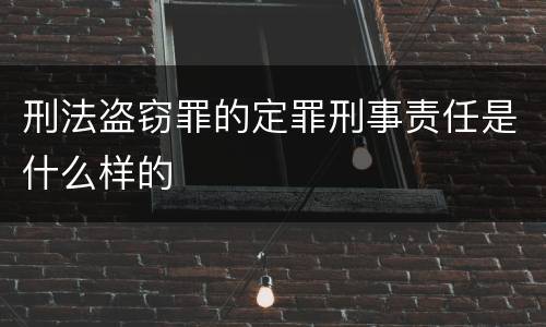 刑法盗窃罪的定罪刑事责任是什么样的