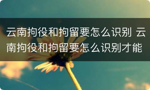 云南拘役和拘留要怎么识别 云南拘役和拘留要怎么识别才能执行