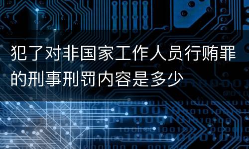 犯了对非国家工作人员行贿罪的刑事刑罚内容是多少