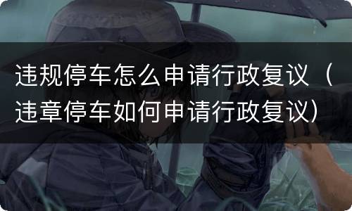 违规停车怎么申请行政复议（违章停车如何申请行政复议）