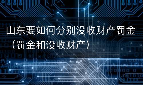 山东要如何分别没收财产罚金（罚金和没收财产）