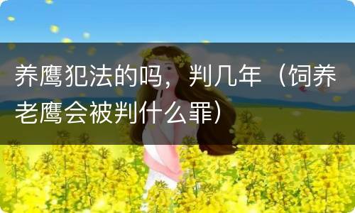 养鹰犯法的吗，判几年（饲养老鹰会被判什么罪）
