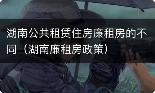 湖南公共租赁住房廉租房的不同（湖南廉租房政策）