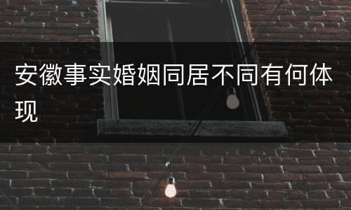 安徽事实婚姻同居不同有何体现