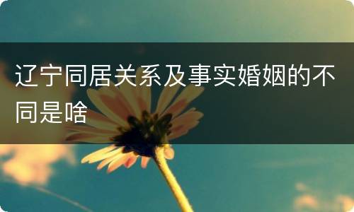辽宁同居关系及事实婚姻的不同是啥