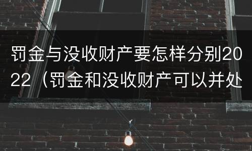 罚金与没收财产要怎样分别2022（罚金和没收财产可以并处吗）