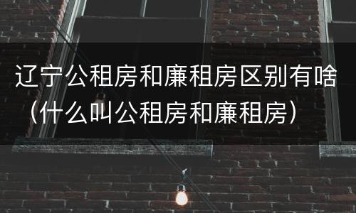 辽宁公租房和廉租房区别有啥（什么叫公租房和廉租房）