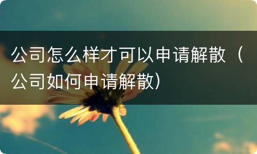 公司怎么样才可以申请解散（公司如何申请解散）