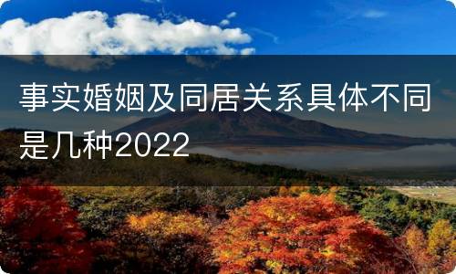 事实婚姻及同居关系具体不同是几种2022