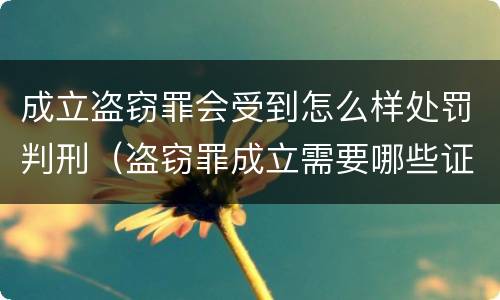 成立盗窃罪会受到怎么样处罚判刑（盗窃罪成立需要哪些证据）