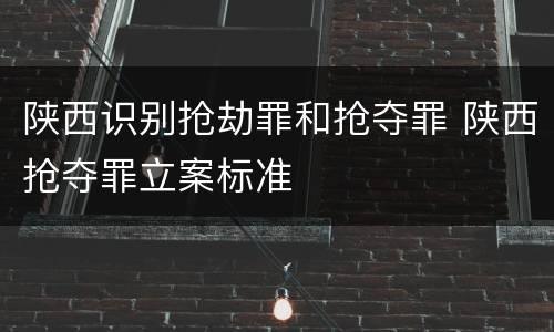 陕西识别抢劫罪和抢夺罪 陕西抢夺罪立案标准