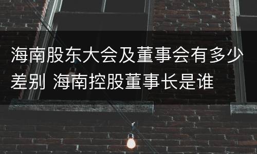 海南股东大会及董事会有多少差别 海南控股董事长是谁