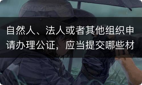 自然人、法人或者其他组织申请办理公证，应当提交哪些材料