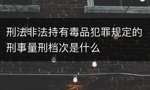 刑法非法持有毒品犯罪规定的刑事量刑档次是什么