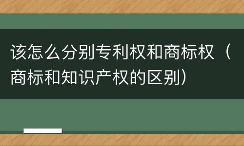 该怎么分别专利权和商标权（商标和知识产权的区别）