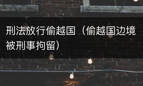 刑法放行偷越国（偷越国边境被刑事拘留）