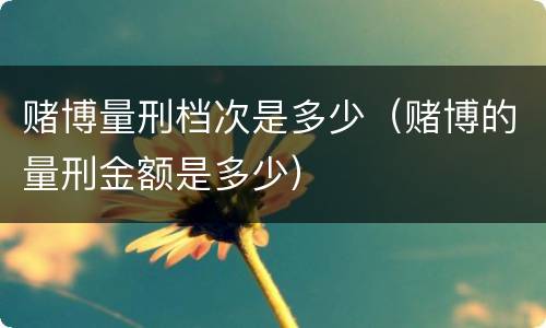 赌博量刑档次是多少（赌博的量刑金额是多少）