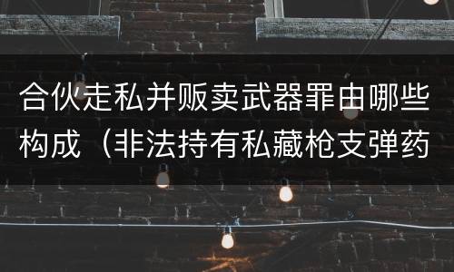 合伙走私并贩卖武器罪由哪些构成（非法持有私藏枪支弹药罪的主体）