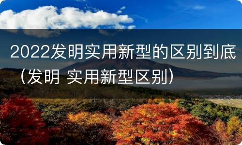 2022发明实用新型的区别到底（发明 实用新型区别）