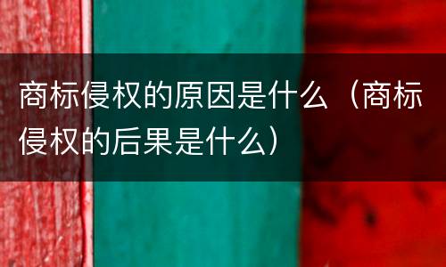 商标侵权的原因是什么（商标侵权的后果是什么）