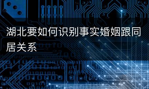 湖北要如何识别事实婚姻跟同居关系