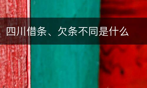 四川借条、欠条不同是什么