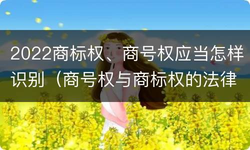 2022商标权、商号权应当怎样识别（商号权与商标权的法律冲突与解决）