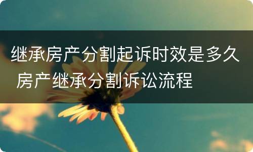 继承房产分割起诉时效是多久 房产继承分割诉讼流程