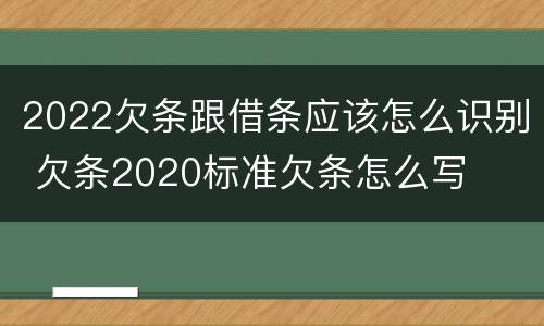 2022欠条跟借条应该怎么识别 欠条2020标准欠条怎么写