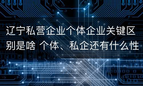 辽宁私营企业个体企业关键区别是啥 个体、私企还有什么性质
