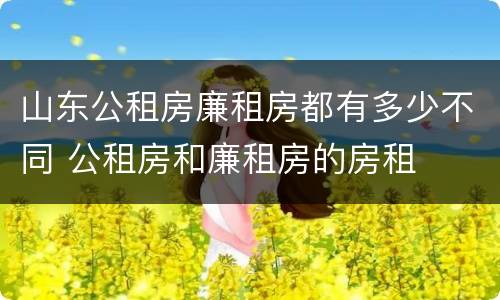 山东公租房廉租房都有多少不同 公租房和廉租房的房租