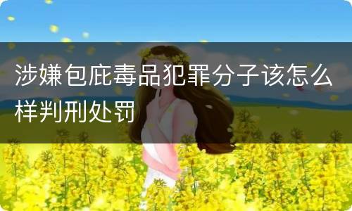 涉嫌包庇毒品犯罪分子该怎么样判刑处罚