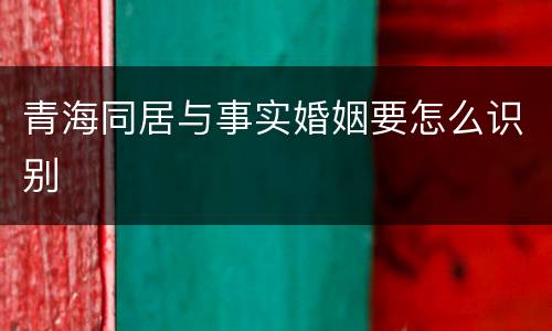 青海同居与事实婚姻要怎么识别
