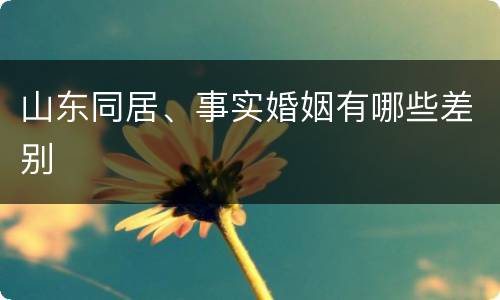 山东同居、事实婚姻有哪些差别