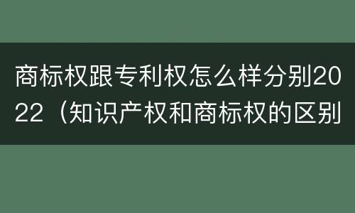 商标权跟专利权怎么样分别2022（知识产权和商标权的区别）