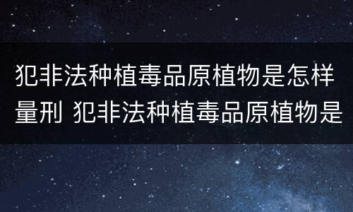 犯非法种植毒品原植物是怎样量刑 犯非法种植毒品原植物是怎样量刑的