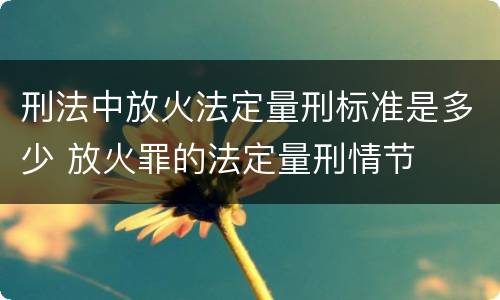 刑法中放火法定量刑标准是多少 放火罪的法定量刑情节